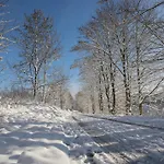 Welcome In - 59-g 'leni' Direkt An Der Piste, Mit Balkon, Sauna Und Schwimmbad