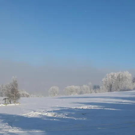 דירה Welcome In - 59-g 'leni' Direkt An Der Piste, Mit Balkon, Sauna Und Schwimmbad